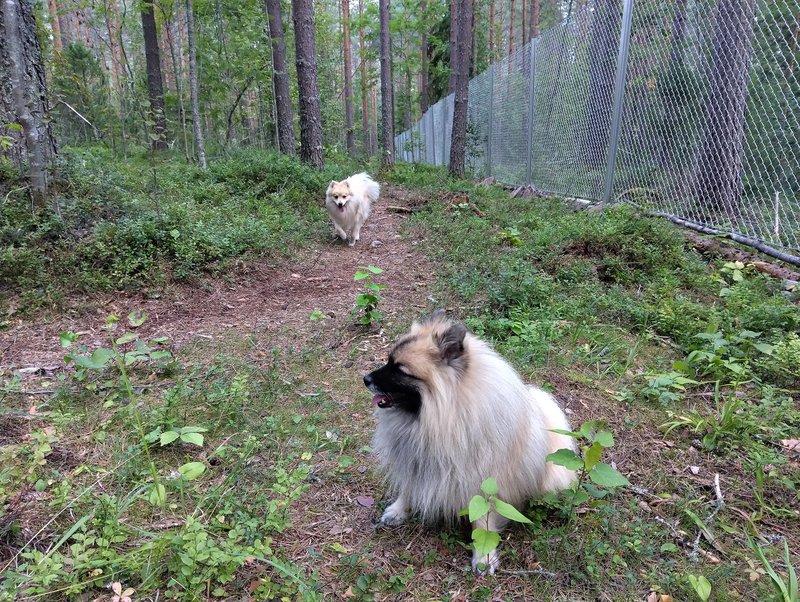 00004IMG_00004_BURST20250818130533