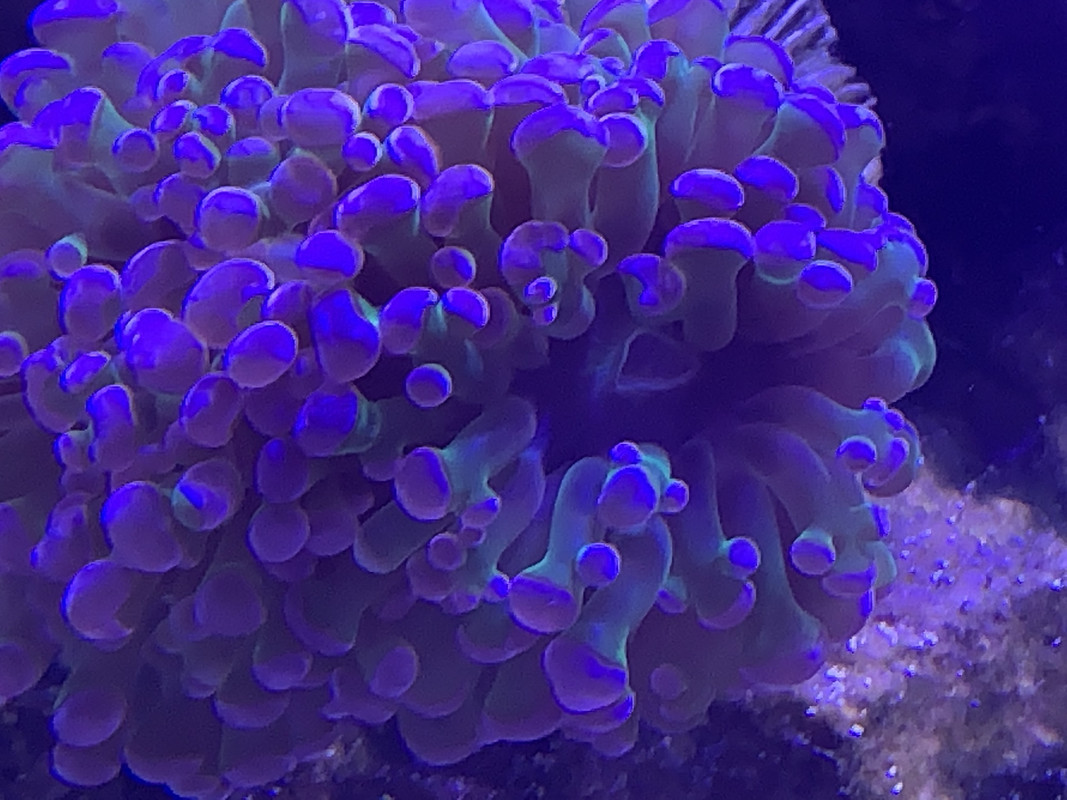 5903545B-402E-459D-B407-8B155BC0DD0F