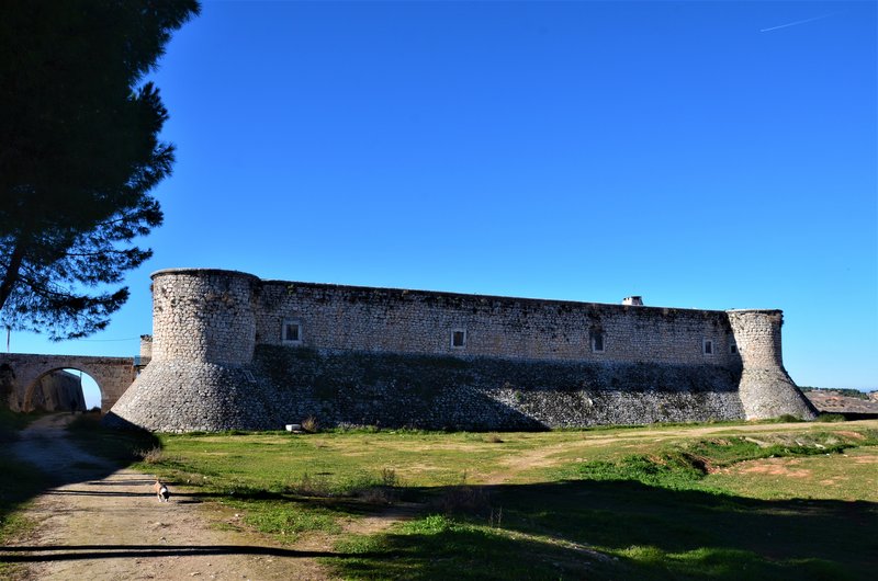CHINCHON-4-1-2015 - Madrid y sus pueblos-2000/2022 (20)