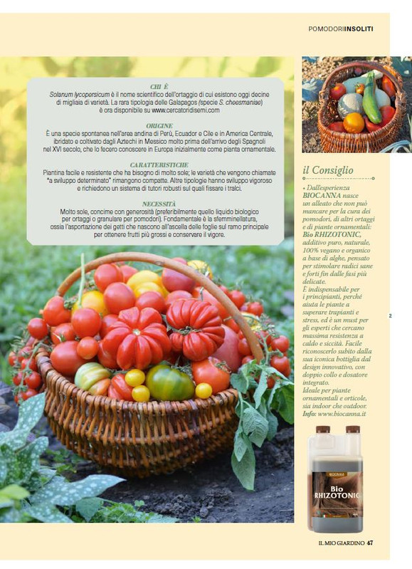 il mio Giar Apr Mag 2026 (6)