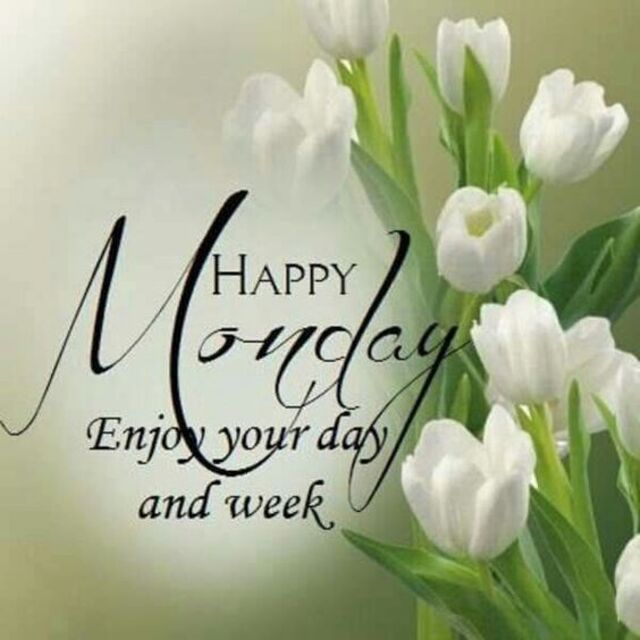 An den Beitrag angehängtes Bild: https://i.postimg.cc/PrBvHH1k/oie-15115964w-KBr-JGQ.jpg