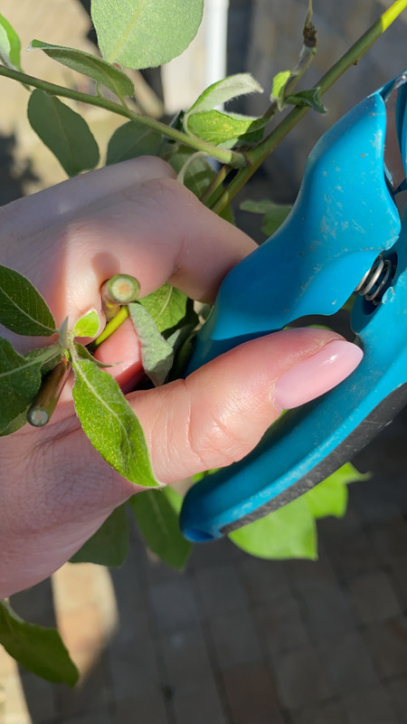 068D7F43-0759-4728-8E7D-82ADBF11BF76