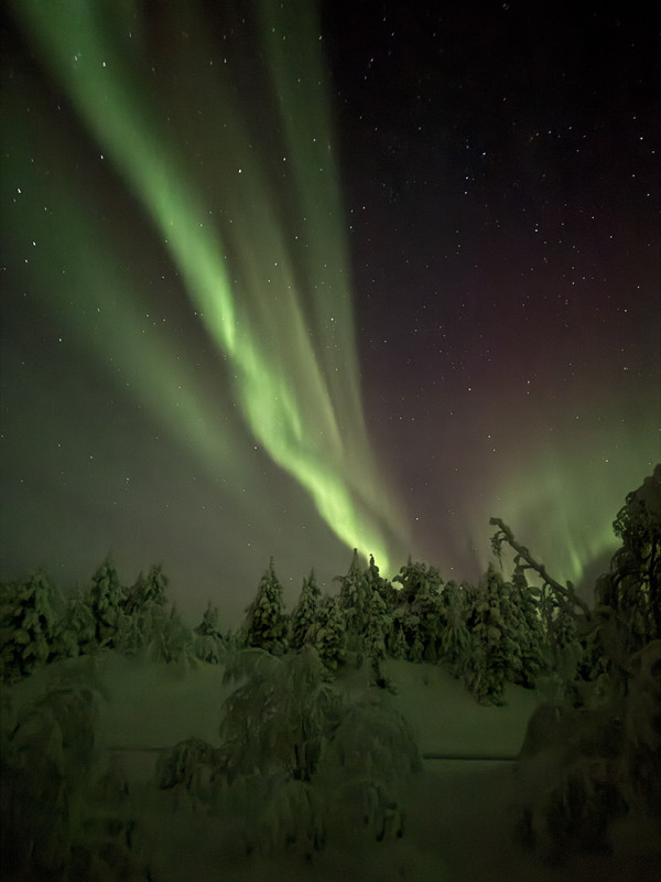 [Immagine: IMG-7646.jpg]