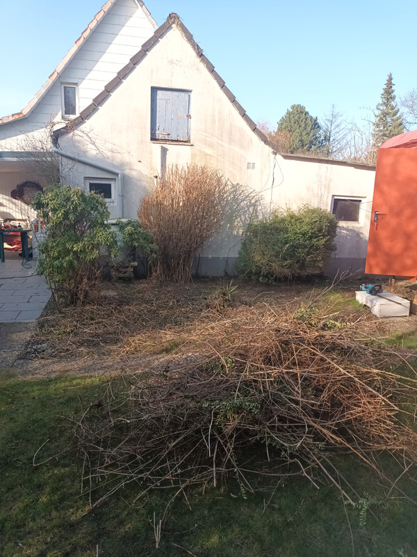 Externes Bild, es gelten die Datenschutz- und Nutzungsbestimmungen der ausgewählten Seite.