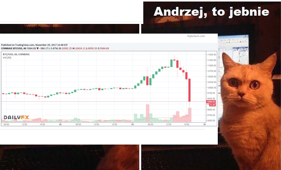 comment_56U8iioB5EEj41KaVC328WdYSioDL0Vc