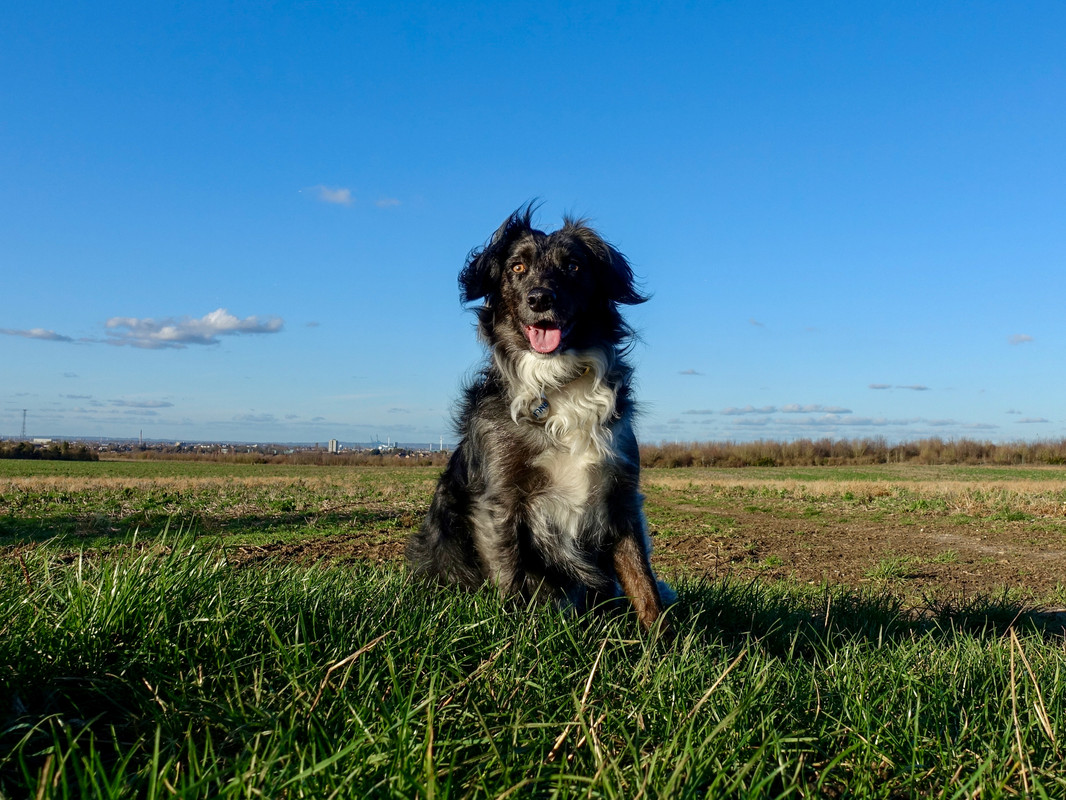 D376F2B8-A77C-41AE-A3A3-6F398D30A1CA