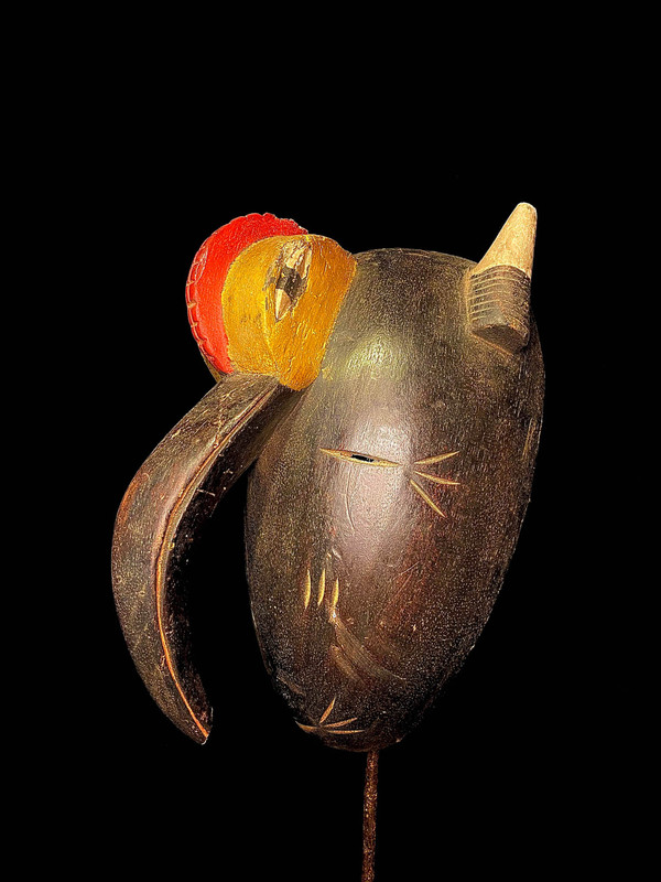 large image 7