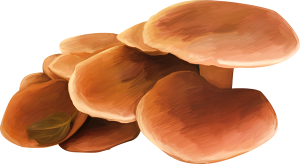 TADD_elements_ShimmerFall (47)