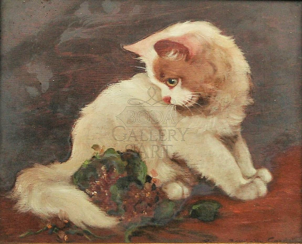 rainerne-istvanffy-gabriella-1875-1964-feher-cica-1