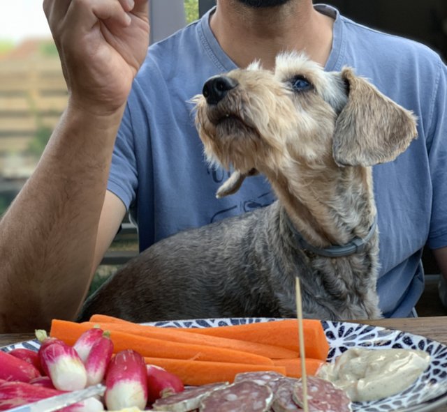 [Image: IMG-6911.jpg]