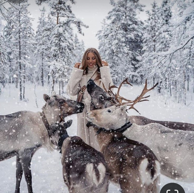 Screenshot_20231118_204406_Pinterest