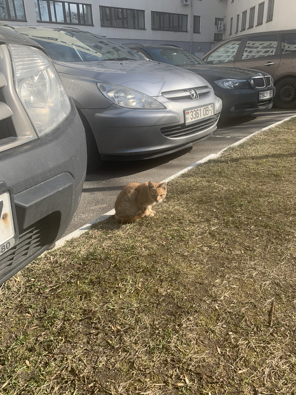 63A644EF-C2D4-4FBA-9DCE-2CD5DD1D1056