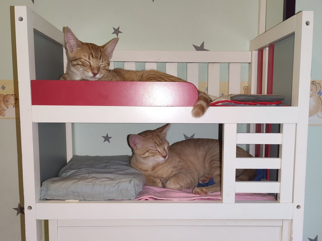 WhatsApp Image 2020-09-01 at 20.28.49