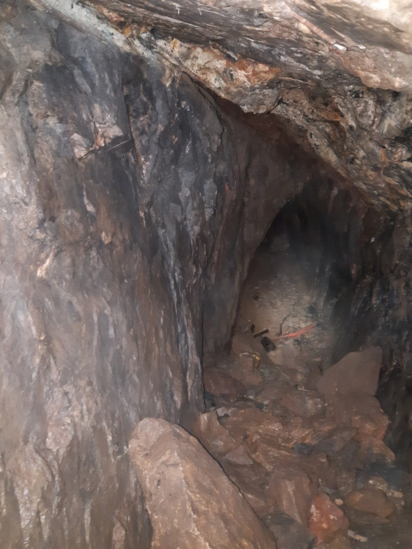 11.11 - 20200613_123225 (PiTT)