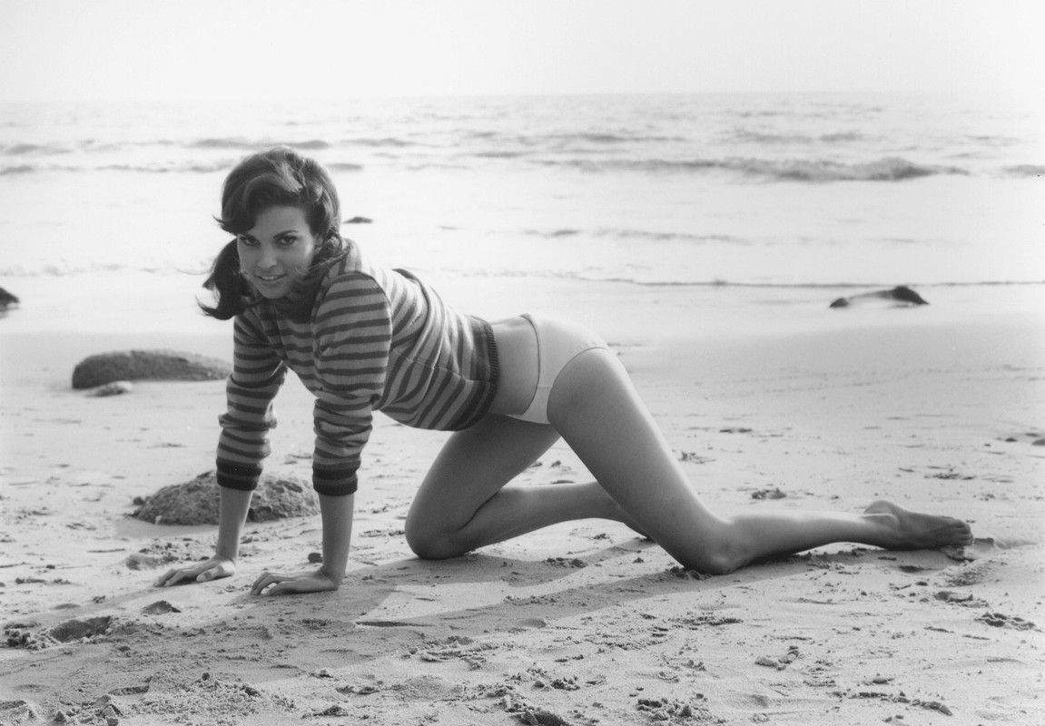 raquel_welch_d91