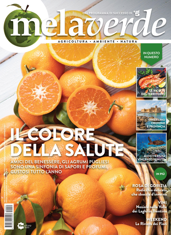 Melaverde – Gennaio 2021