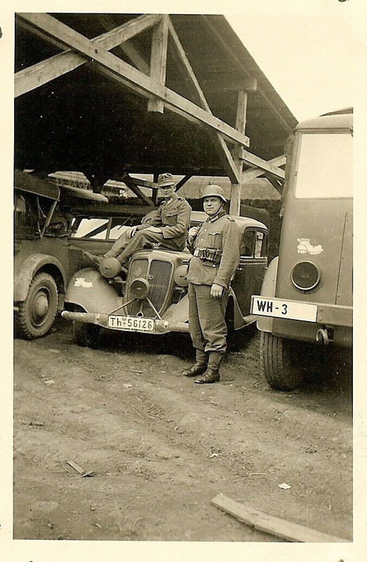 Gebirgsjäger Mountain Troops w 7. Gebirgs-Division Marked Vehicles! (2)