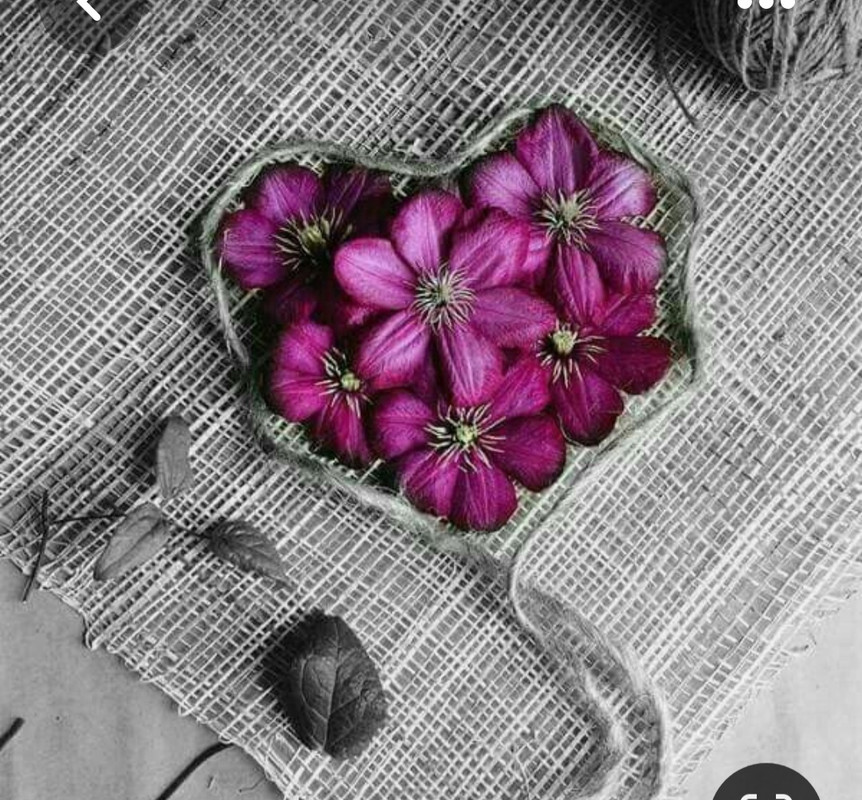 Screenshot_20230514_131025_Pinterest