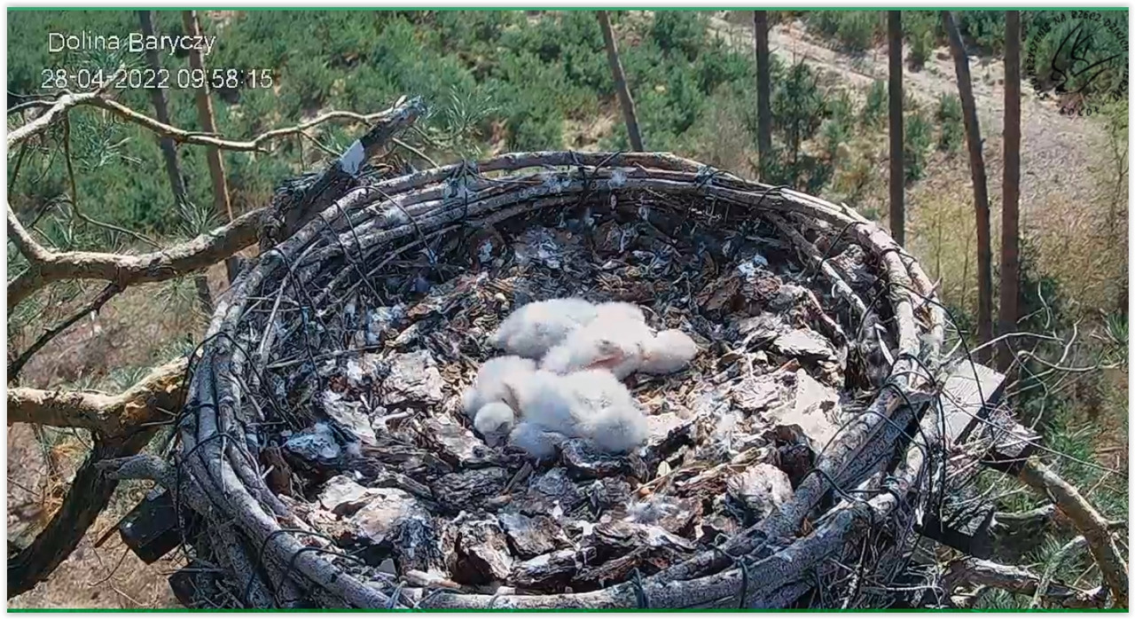 Screen Shot 04-28-22 at 09.59 AM