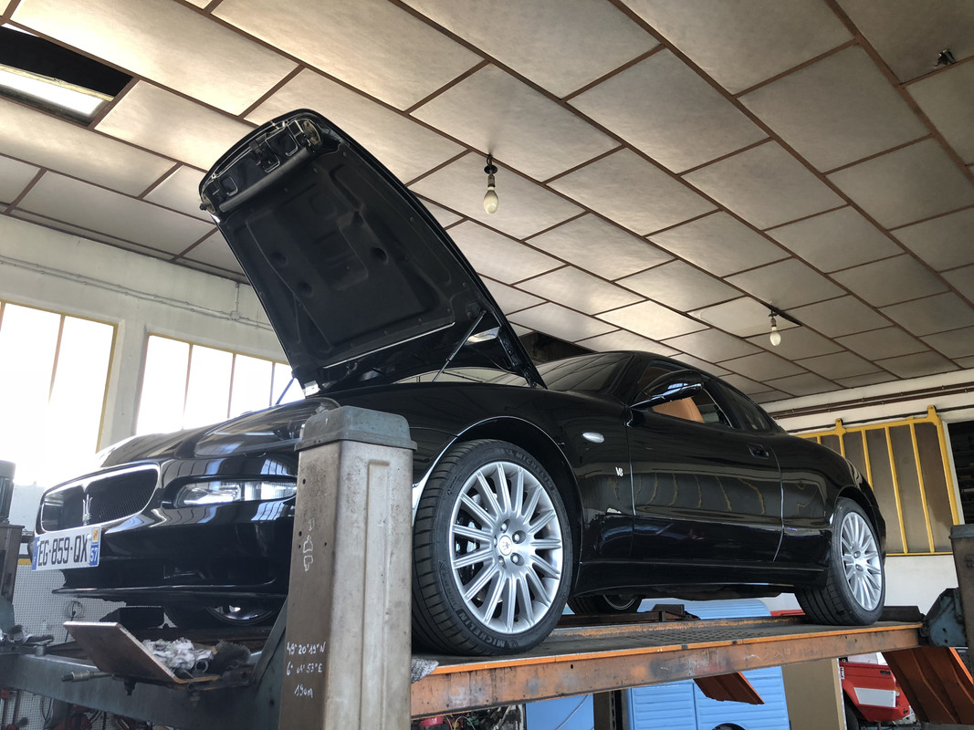 4E659021-1F50-4238-8A34-D1C7E4DDDA4A