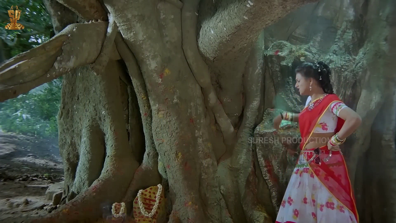 vlcsnap 2026 02 25 18h45m35s435