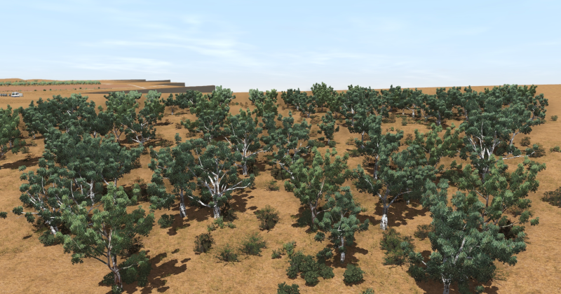 Desert-to-Forest-2.png