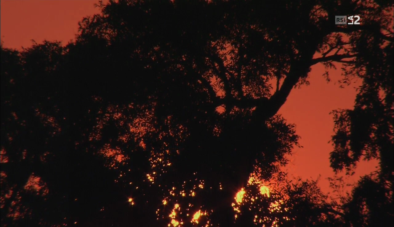 vlcsnap-2016-12-11-08h27m15s206