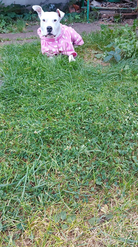 EBD702CE-43C5-4331-8058-61E7D11FFD2E