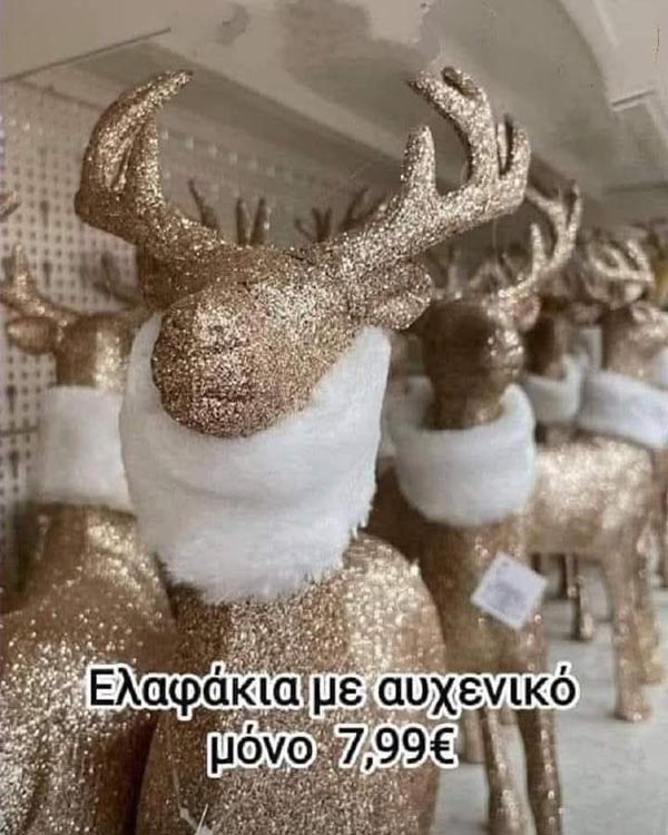 [Εικόνα: asteies-fwtografies-22301.jpg]
