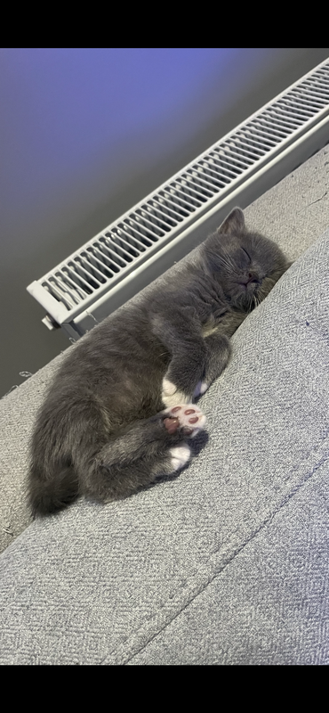 10BACC4E-8F11-40B9-A2F2-F6CAB875FA07