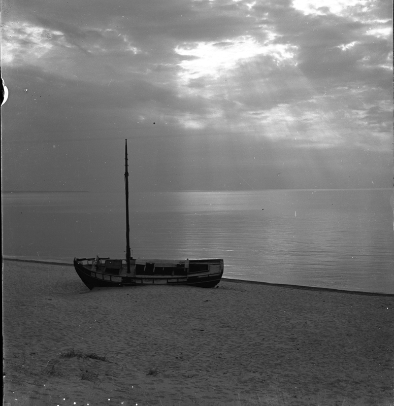 Zrzut ekranu 2024-11-01 071244