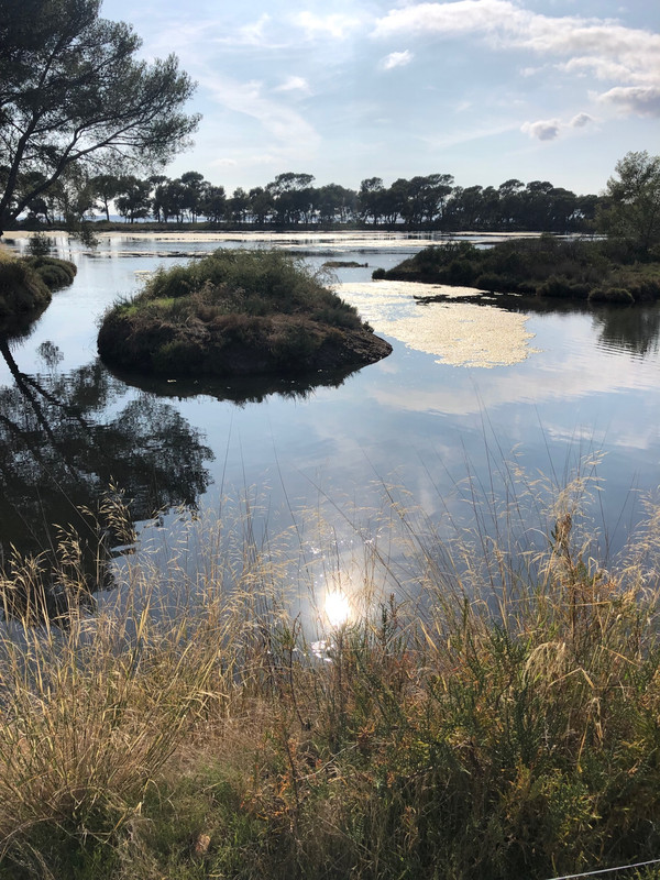 8952FDE9-93E0-46C9-85FC-6E98F81F5EC6