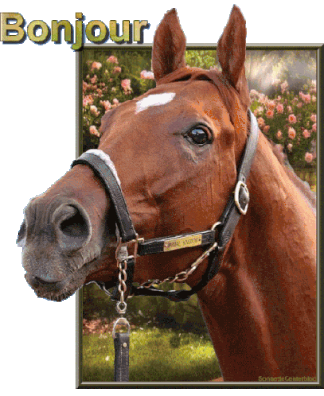 An den Beitrag angehängtes Bild: https://i.postimg.cc/PrGkkLxg/oie-98339-IRVL29ms-1.gif