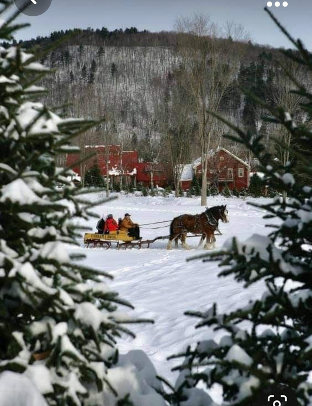 Screenshot_20231101_222802_Pinterest