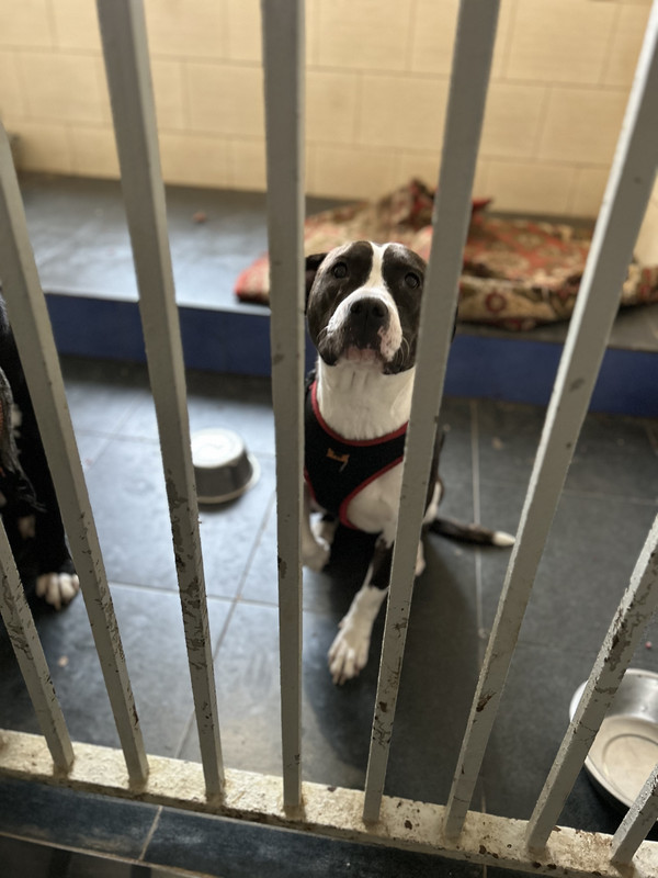 F9E1C37A-2BAF-4866-8643-A1B7D5CC172C