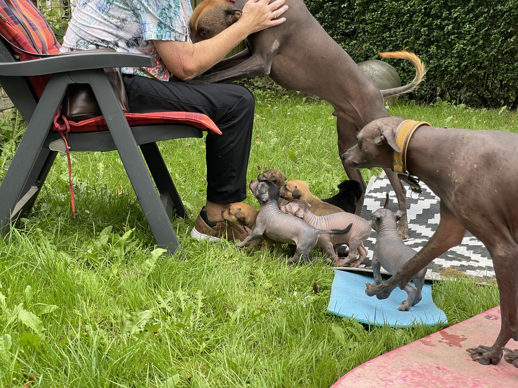 96D9FCC0-B1AA-4045-9D00-AB93026802E2