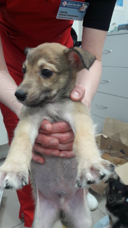 B575E48E-FA37-4629-8BEF-B8CE3A3C2B82