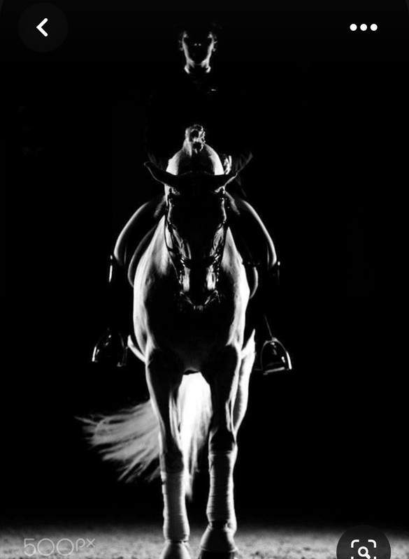 Screenshot_20230720_002304_Pinterest