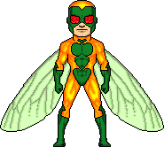 Fly