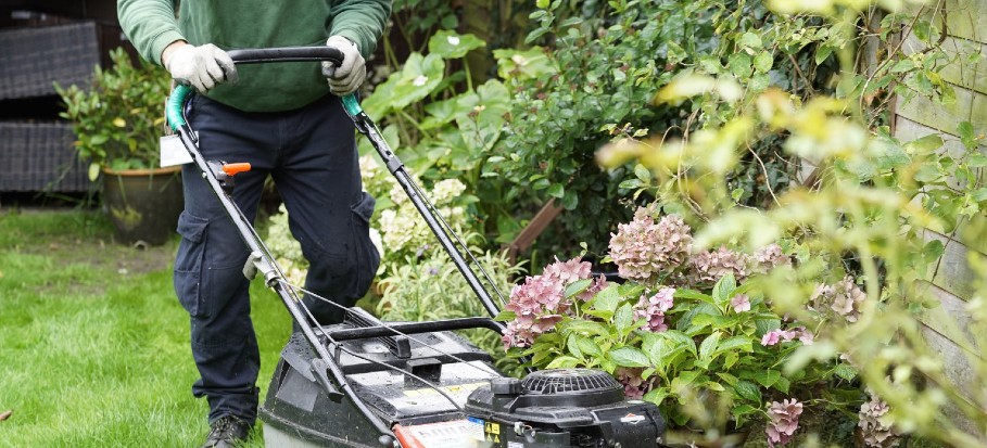 Garden Maintenance