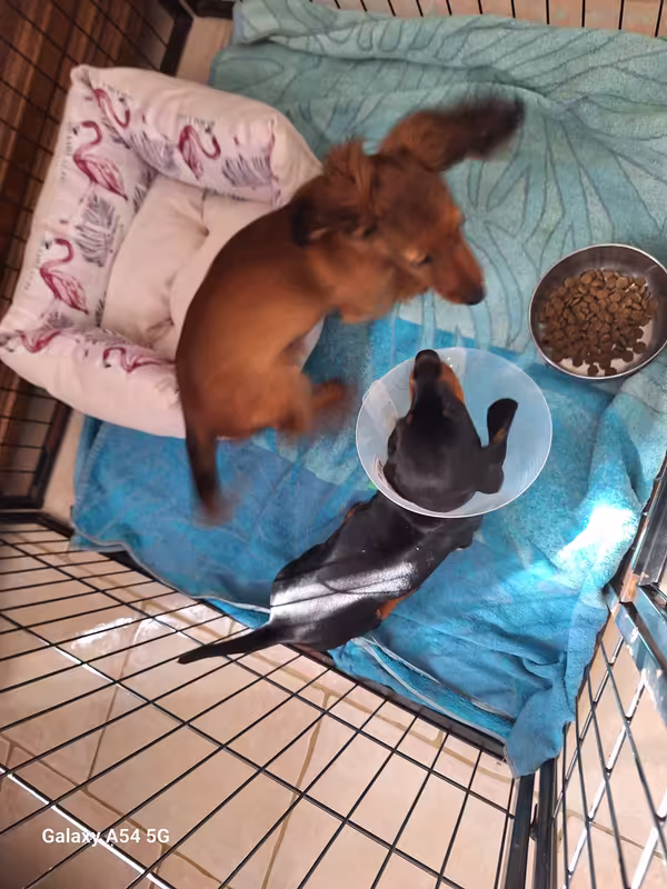 [Image: 20240928-115048.avif]