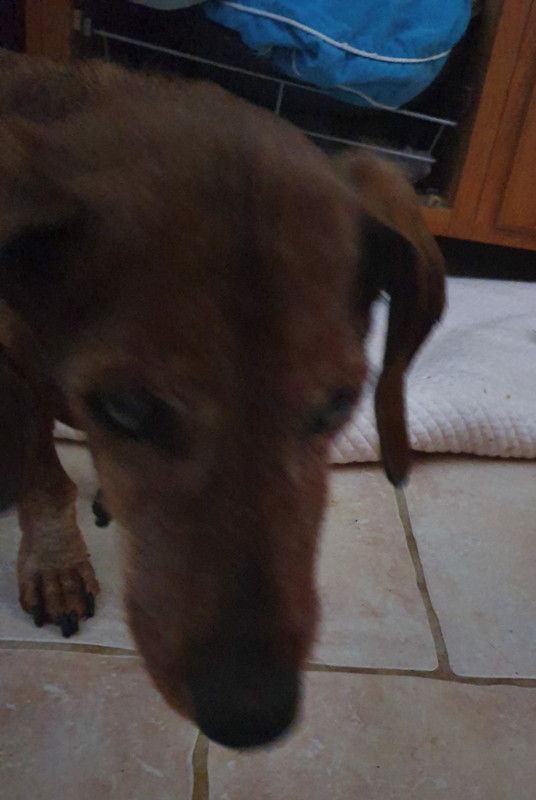 [Image: 20220511-133558.jpg]