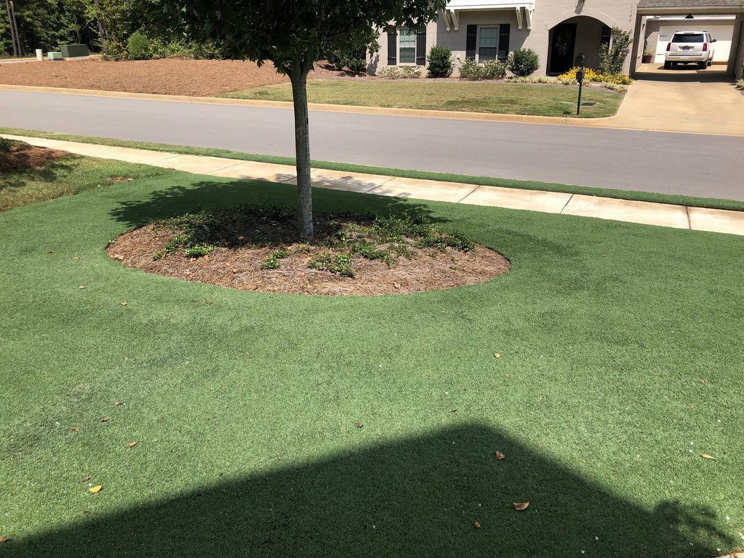 86C138BB-A614-49E1-98F6-C8F771F3CE9B