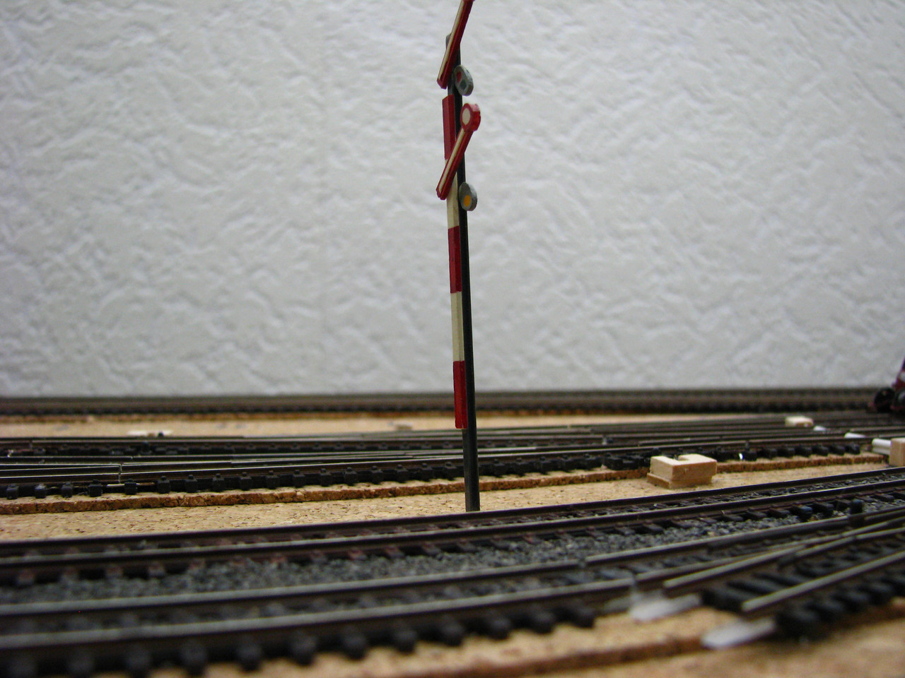IMG 7348