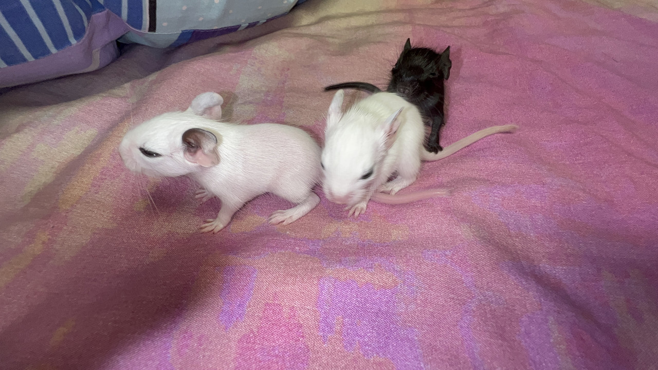 3D965BF2-43E2-4A60-8489-124DF111F3F2