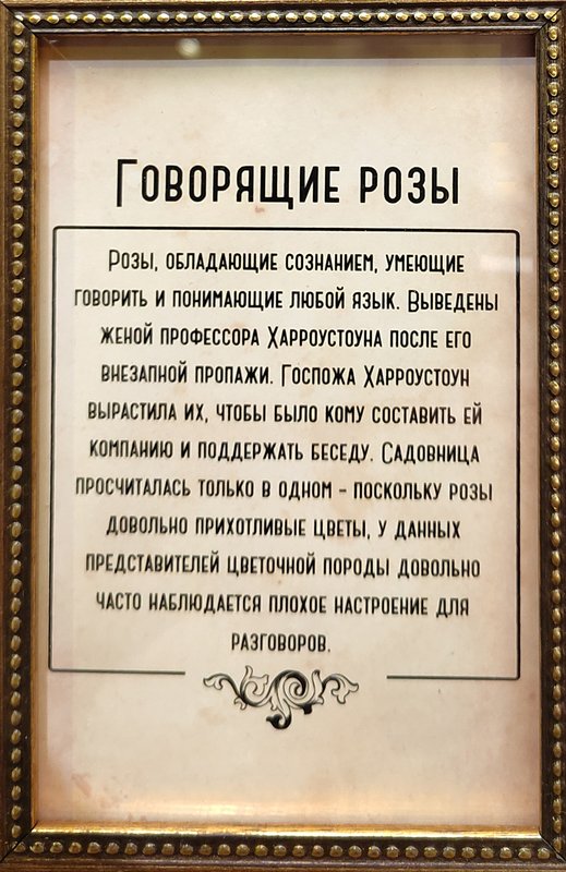 https://i.postimg.cc/PrJkn0bc/063-IMG-20250128-145357.jpg
