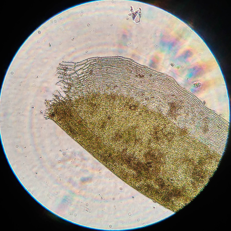 IMG 20250616 220614 HDR