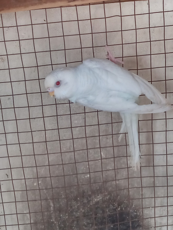 IMG_٢٠١٩١٢٣١_١٢٠٧٥٩