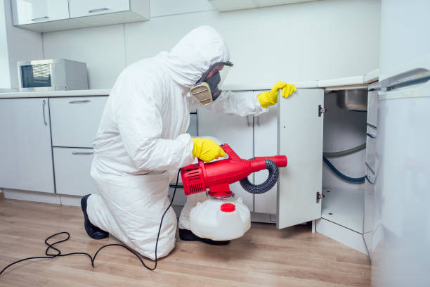 Tampa pest control