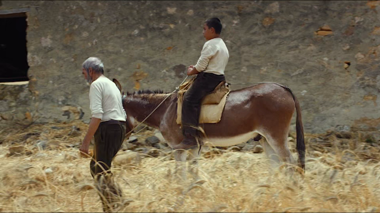 S-K-2025-04-18-20h03m55s722